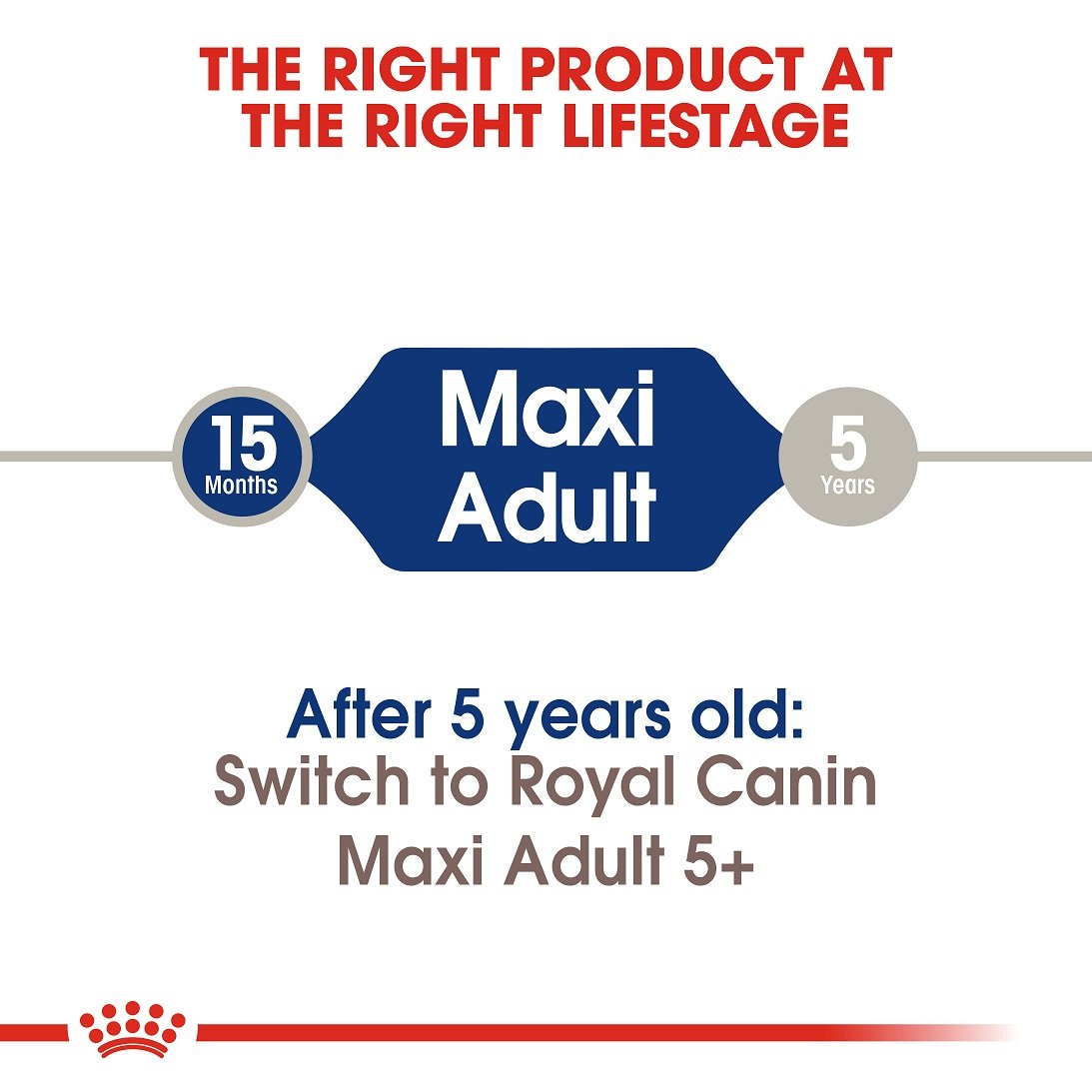 Royal Canin Maxi Adult 15 KG