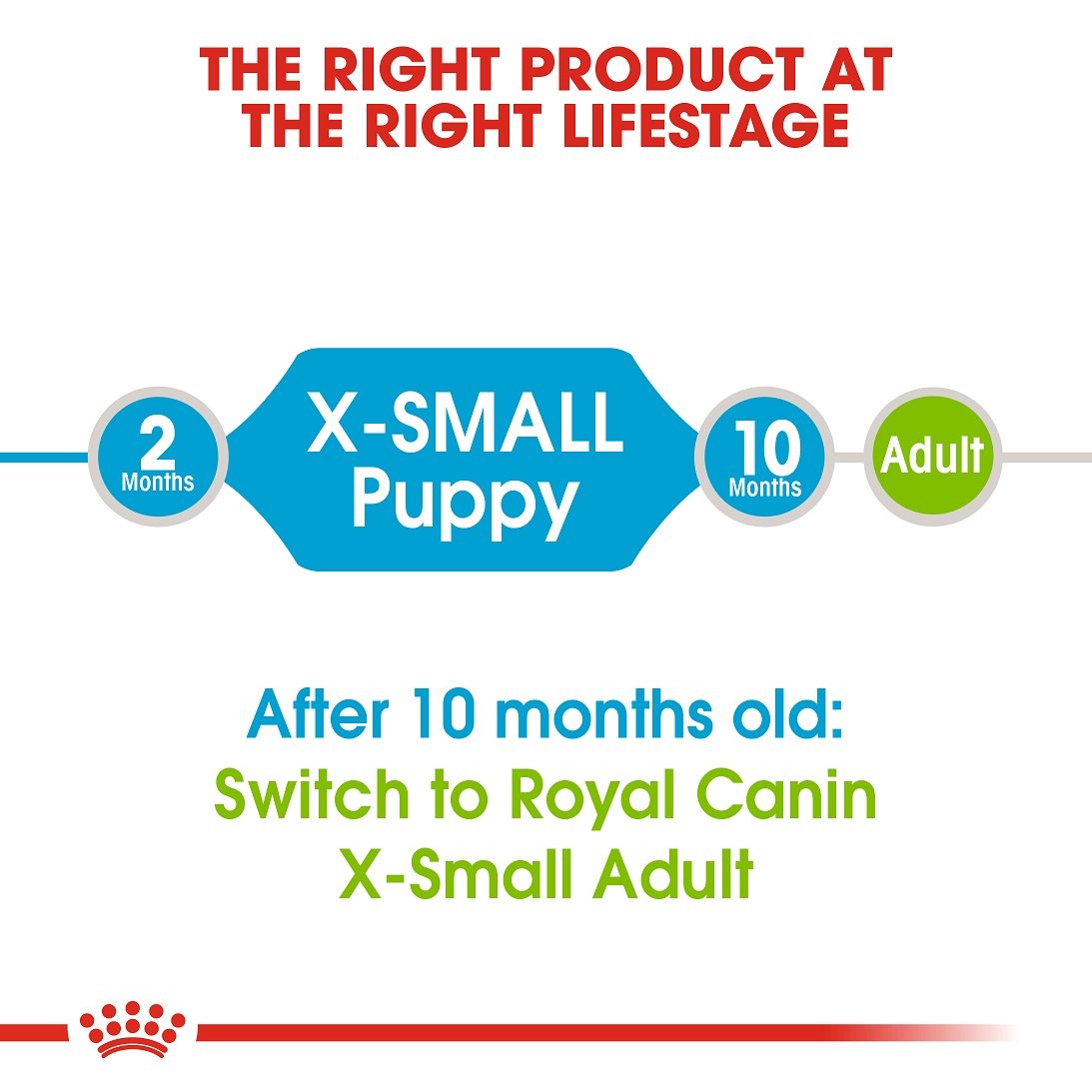 Royal Canin X-Small Puppy 1.5 KG