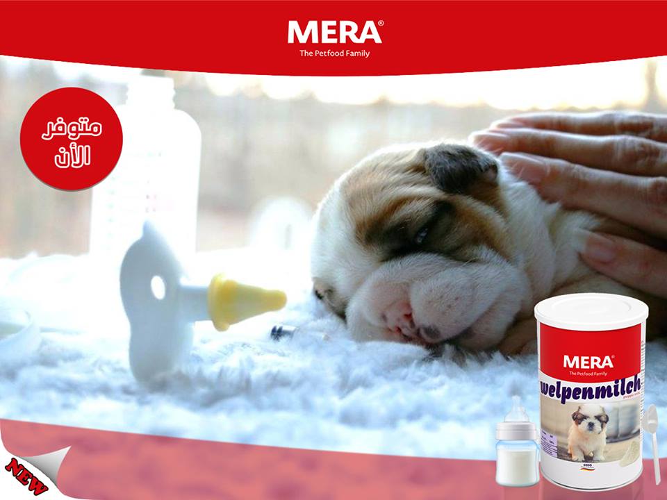 MeraDog Welpenmilch 10 Kg – Mit Colostrum Für Einen Starken Immunschutz