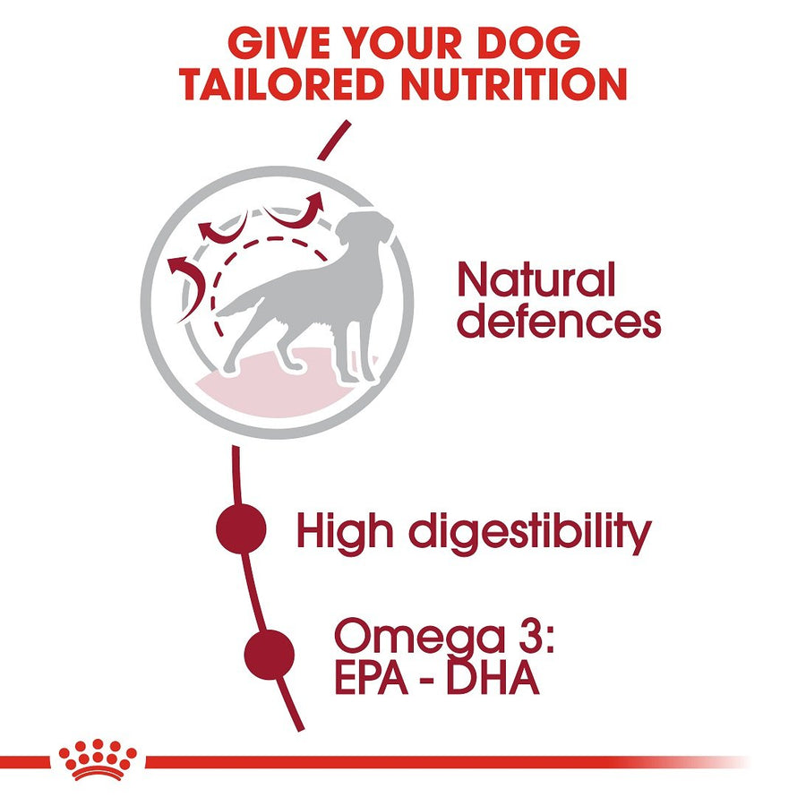 Royal Canin Medium Adult Dry Food 4kg