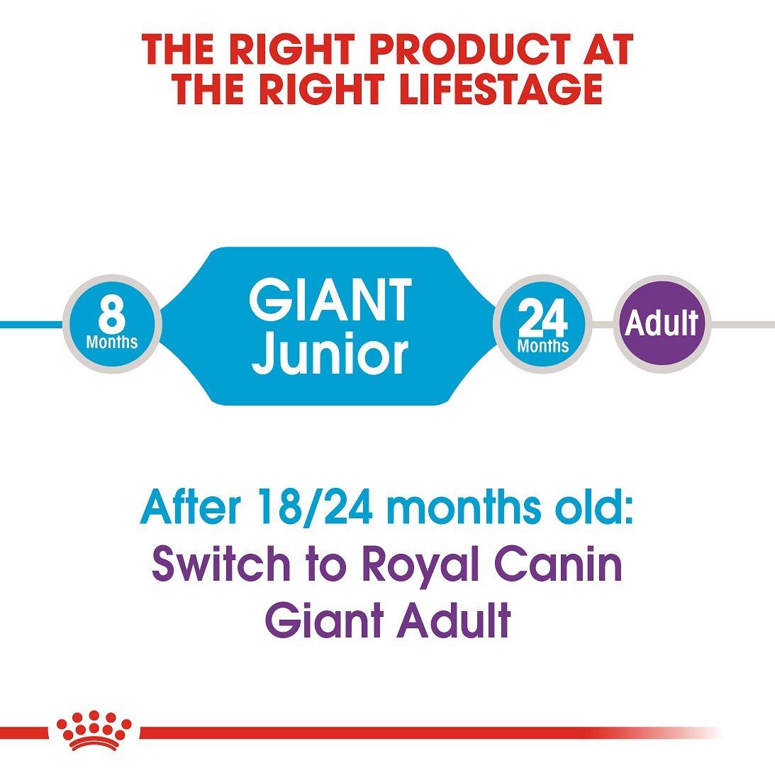 royal canin giant junior