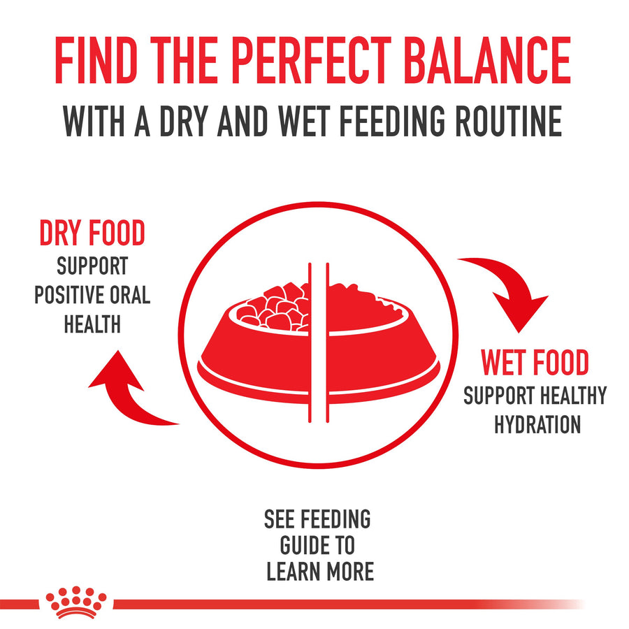 Royal Canin Digestive Care Cat Dry Food 2kg