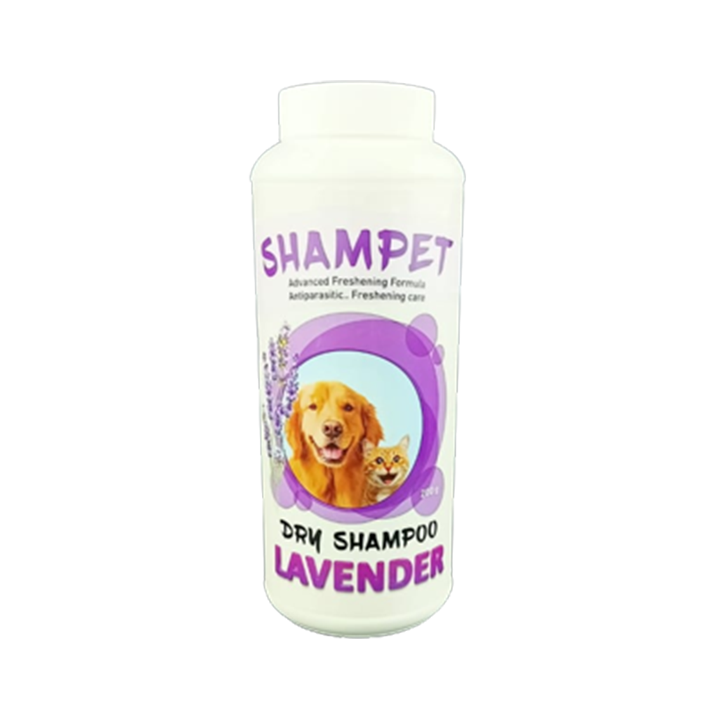 Forvet Shampet Dry Shampoo