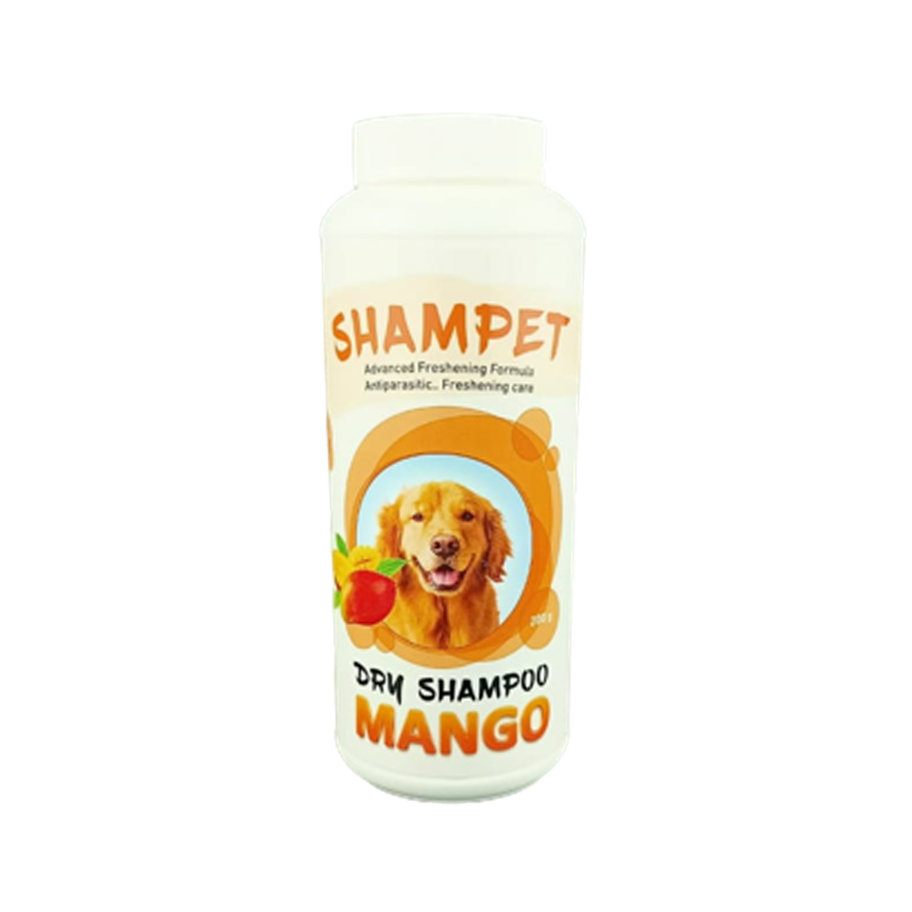 Forvet Shampet Dry Shampoo