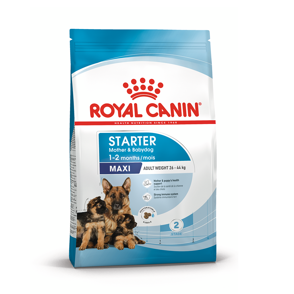 Royal Canin Maxi Starter 4 Kg