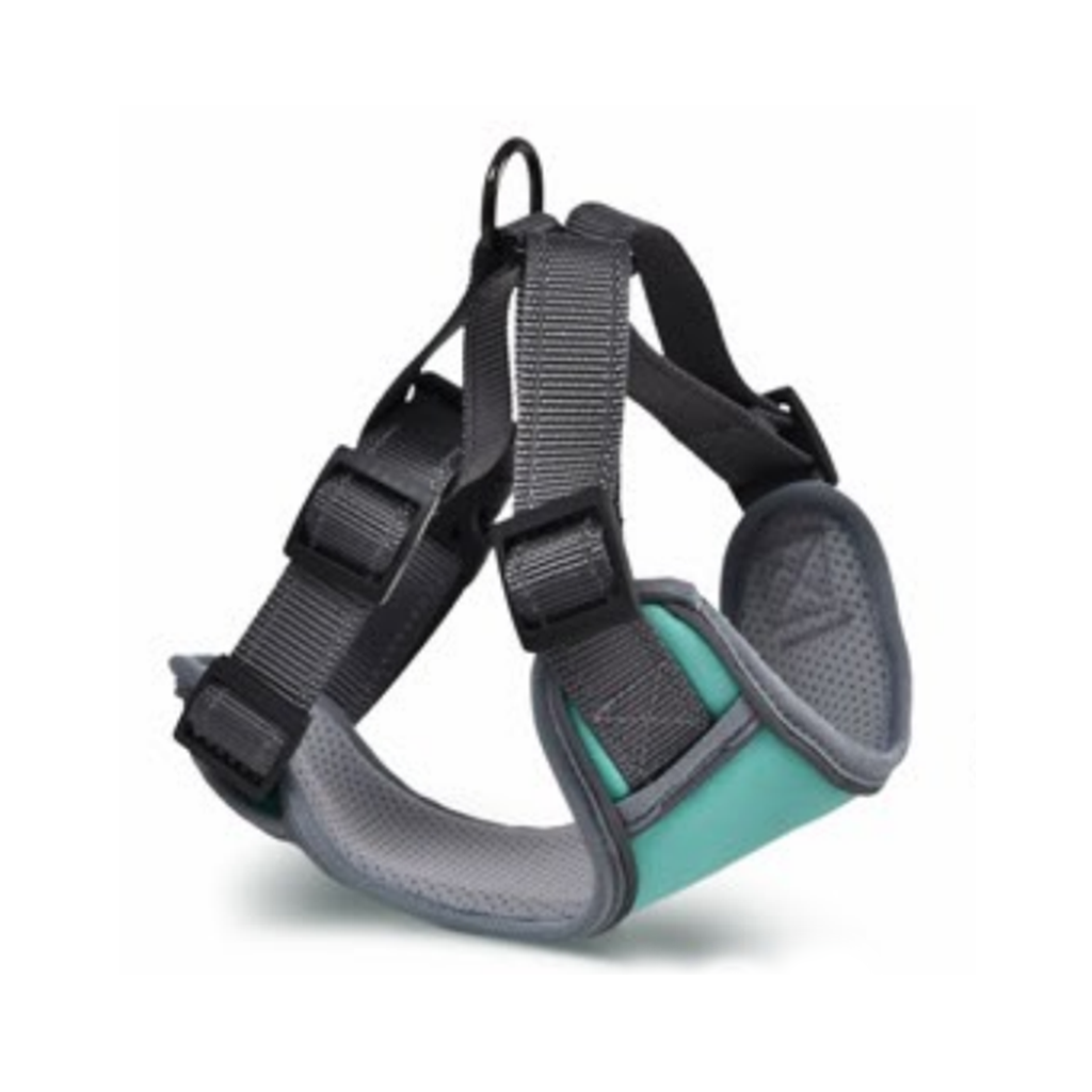 Naomi Soft Padded Harness