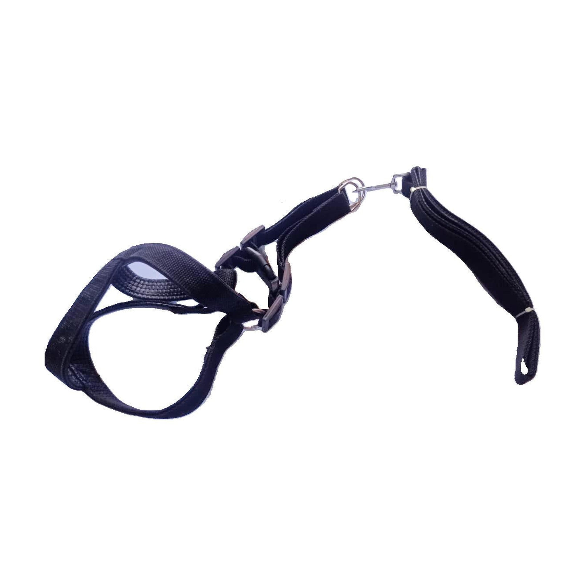 NYLON LEASH WITH HARNESS  L/XL