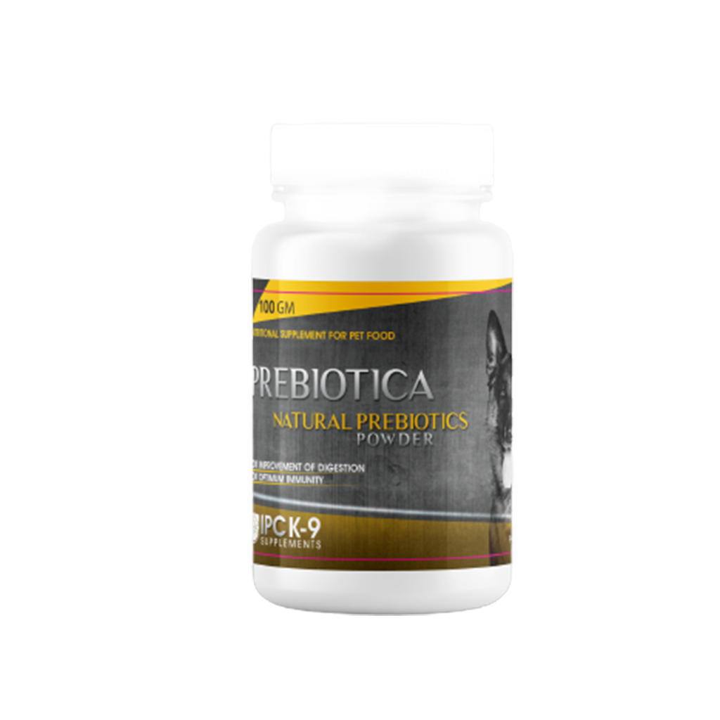 Prebiotica Powder Natural Prebiotics 100 gm