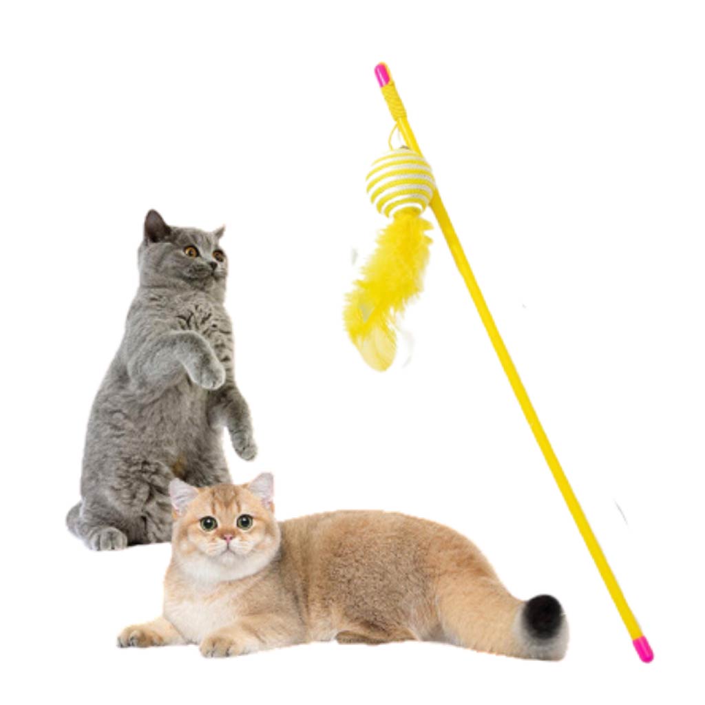 Cat Stick Colored Ball With Rope Pet Cat Toy