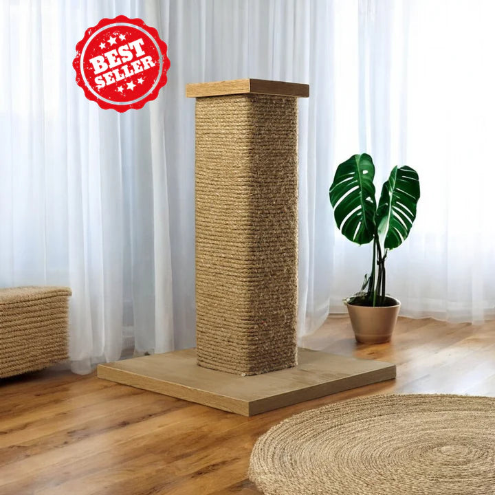Cat Scratcher