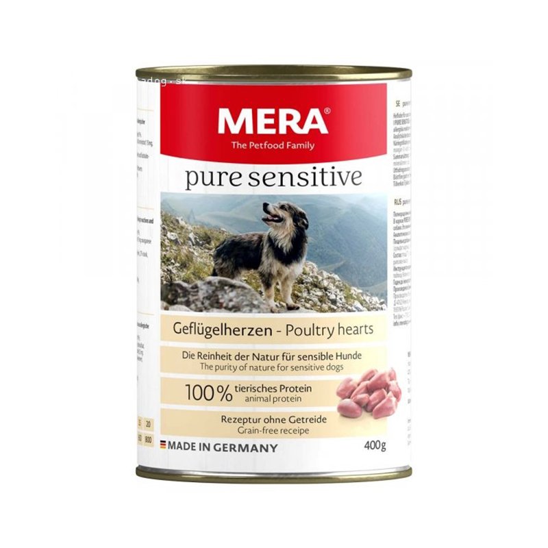 pure sesnstive poultry dog can