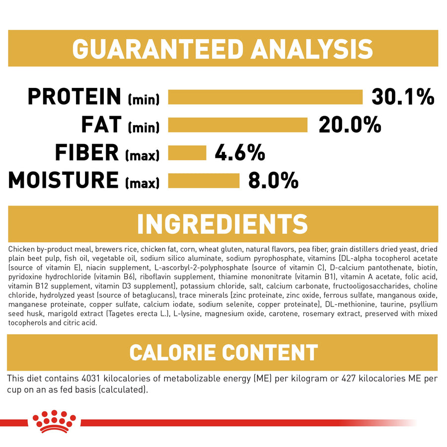 Royal Canin Persian Kitten Dry Food 2kg