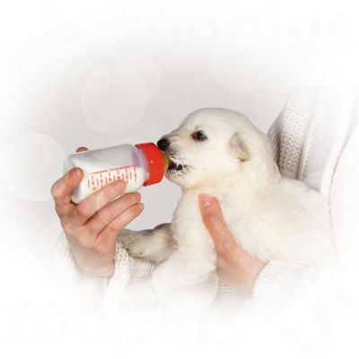 Royal Canin Baby Dog Milk 400g