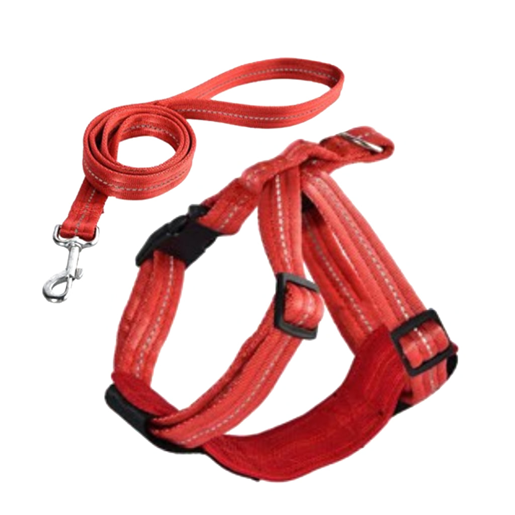 Naomi Nylon Sumo Harness with Leash