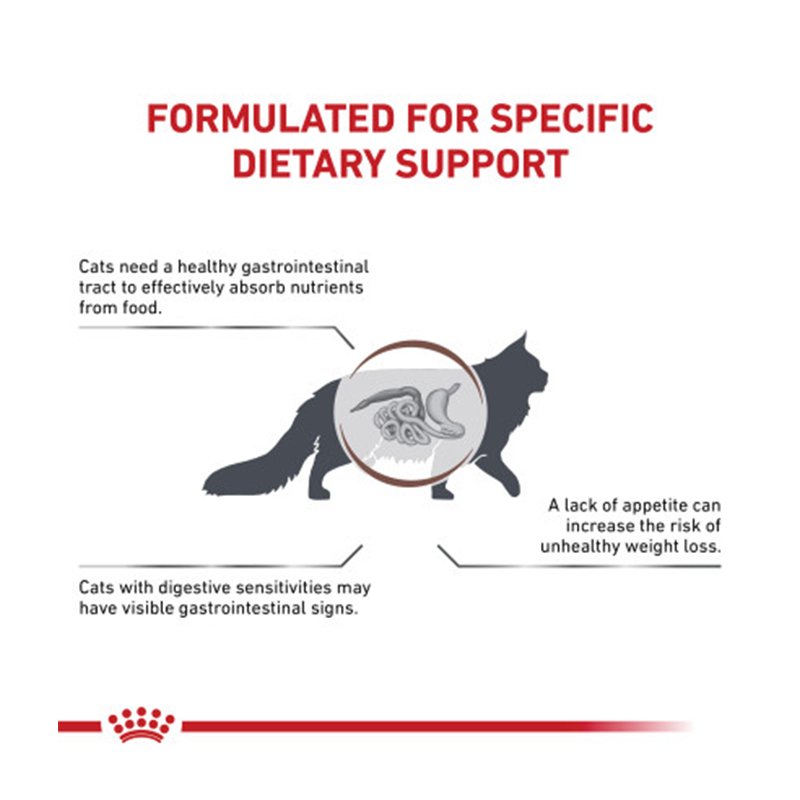 Royal Canin Cat Gastrointestinal 400 gm