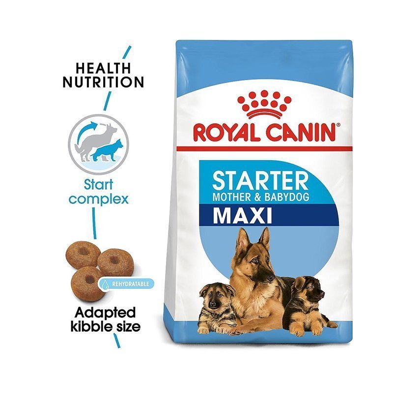 royal-canin-maxi-starter-mother-babies-new