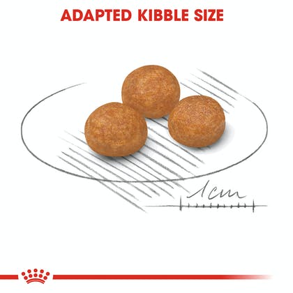 Royal Canin X-Small Adult Dry Food 1.5kg