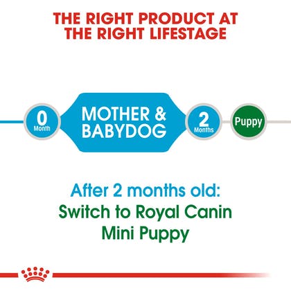 Royal Canin Mini Starter Mother & Babydog 1 Kg