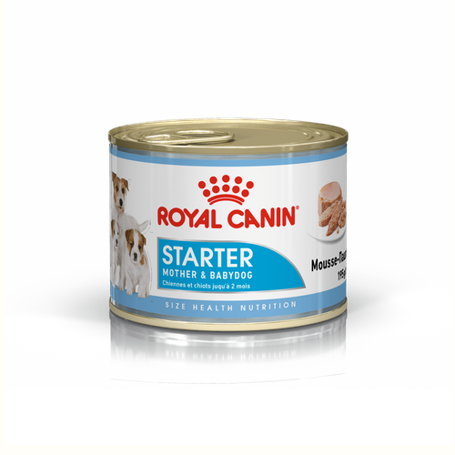 royal canin starter mousse can 195g