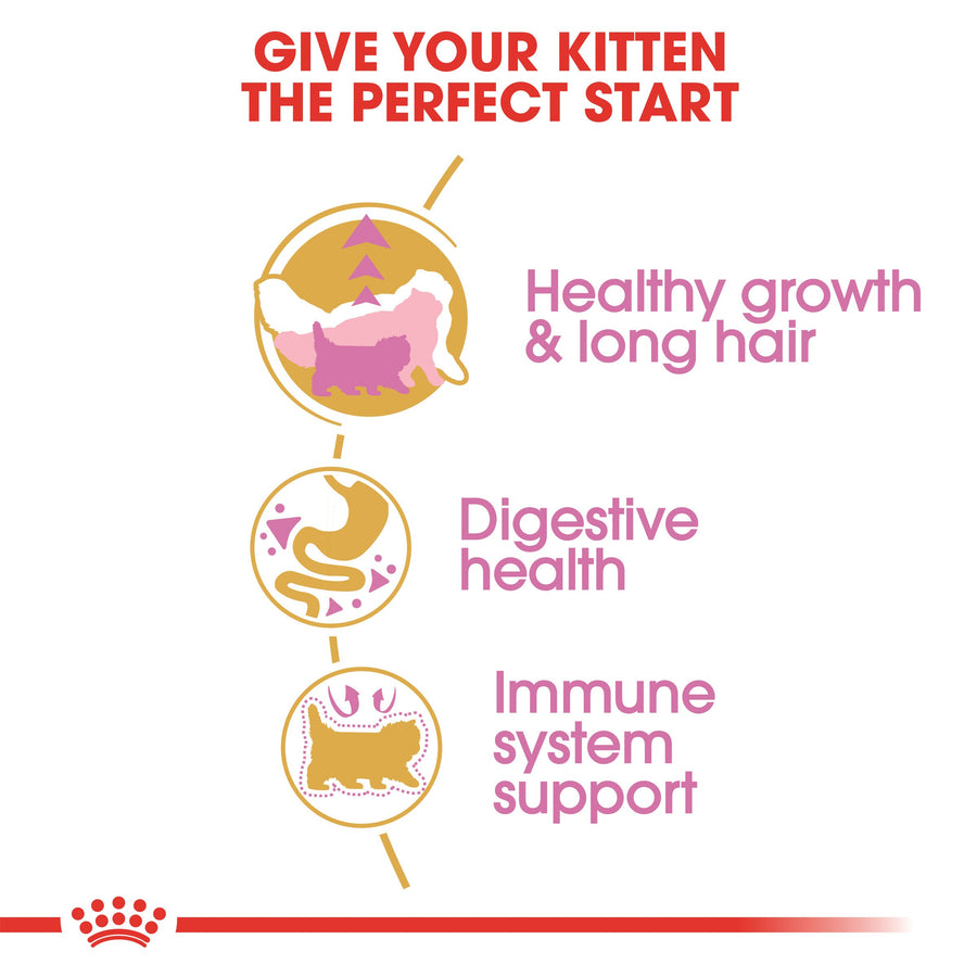 Royal Canin Persian Kitten Dry Food 2kg