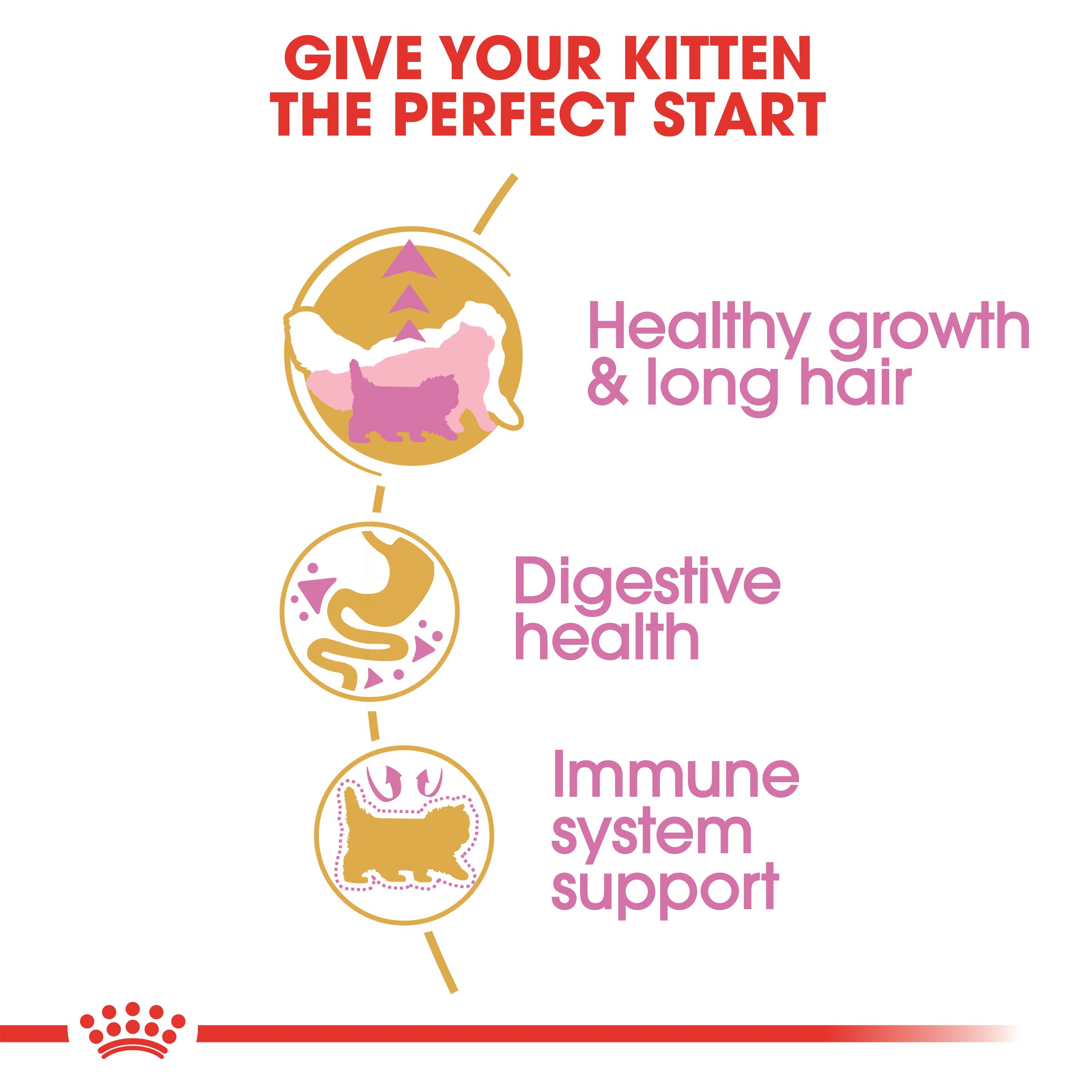 Royal Canin Persian Kitten 400 gm