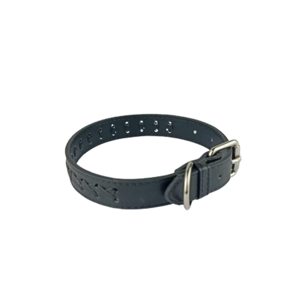 Naomi Black Classic Leather Large Collar