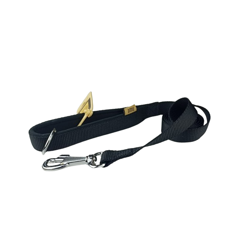 Doggie Premium Nylon Leash With padded Hand