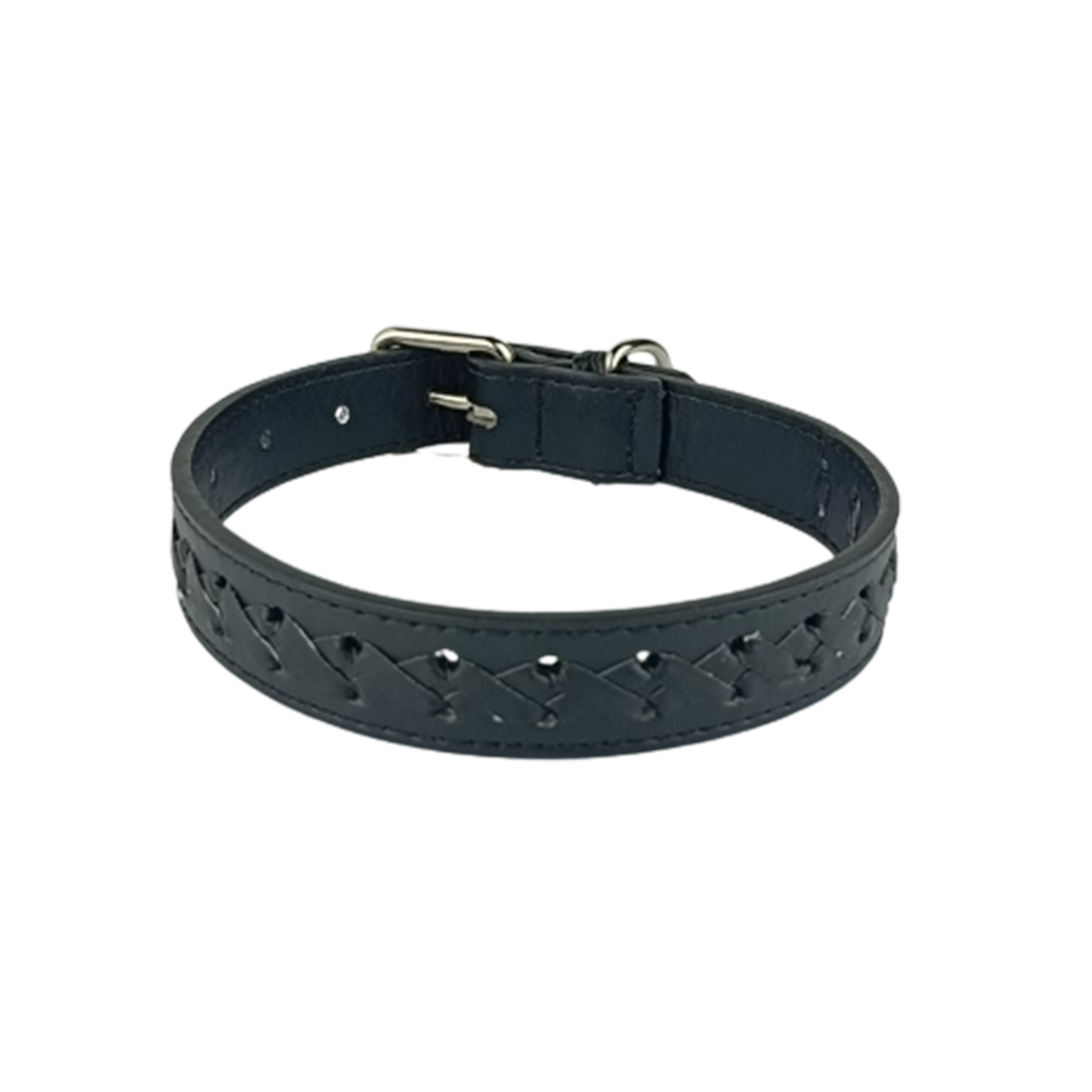 Naomi Black Classic Leather Large Collar