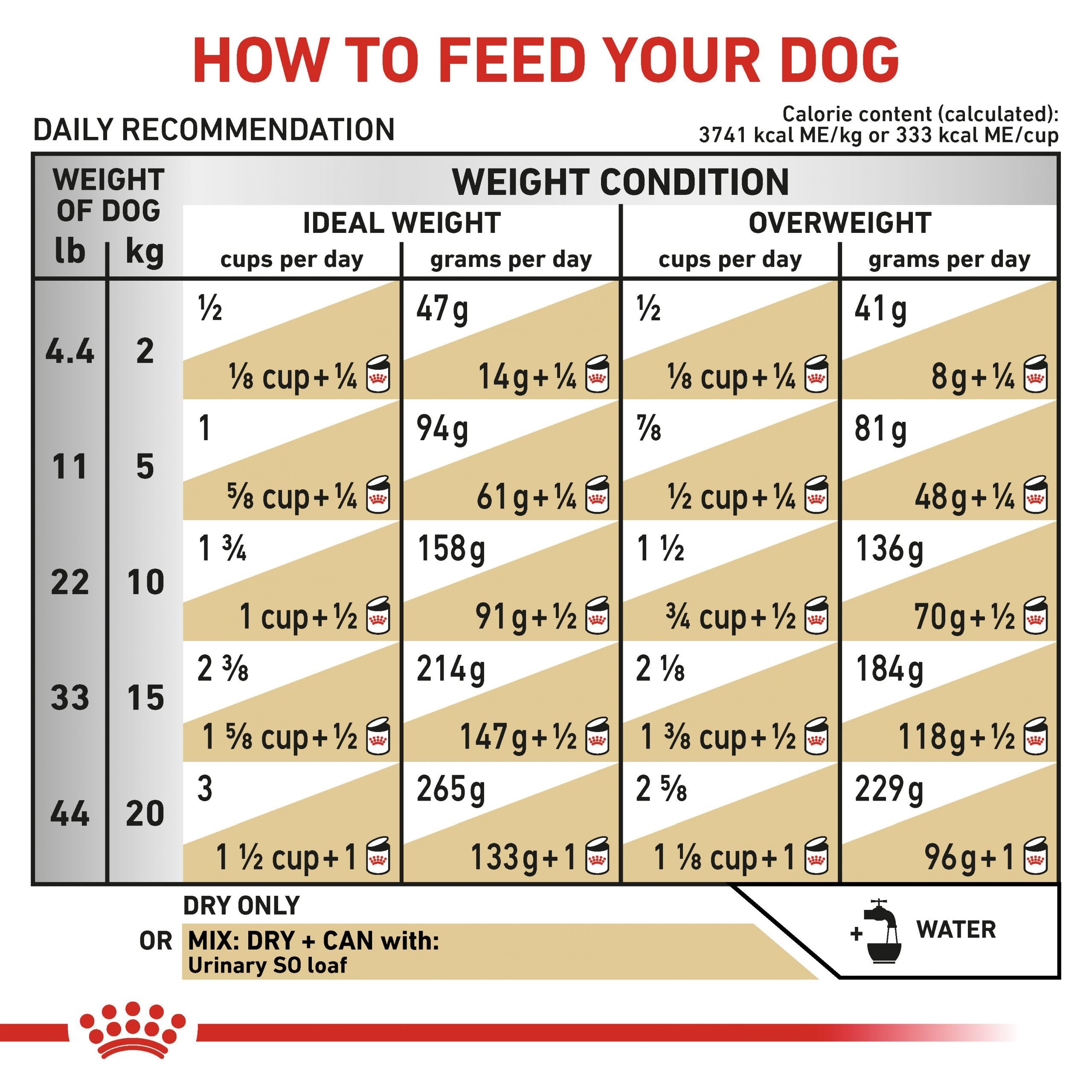 Royal-Canin-URINARY-SO-DOG real