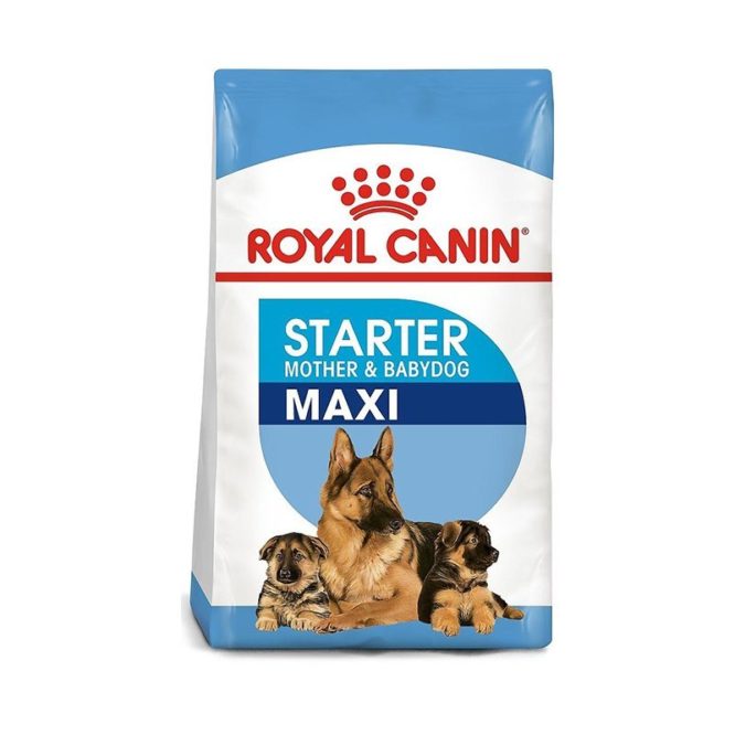 royal-canin-maxi-starter-mother-babies-new