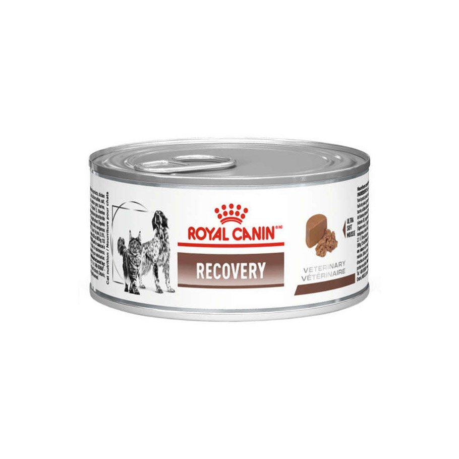 Royal Canin Recovery Wet 195 g | Happet